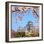 Spring Cherry Blossoms and the Main Tower of the UNESCO World Heritage Site: Himeji Castle, also Ca-S R Lee Photo Traveller-Framed Photographic Print