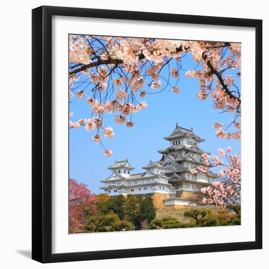 Spring Cherry Blossoms and the Main Tower of the UNESCO World Heritage Site: Himeji Castle, also Ca-S R Lee Photo Traveller-Framed Photographic Print