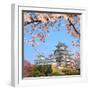 Spring Cherry Blossoms and the Main Tower of the UNESCO World Heritage Site: Himeji Castle, also Ca-S R Lee Photo Traveller-Framed Photographic Print