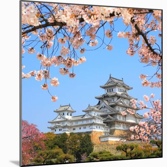 Spring Cherry Blossoms and the Main Tower of the UNESCO World Heritage Site: Himeji Castle, also Ca-S R Lee Photo Traveller-Mounted Photographic Print