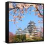 Spring Cherry Blossoms and the Main Tower of the UNESCO World Heritage Site: Himeji Castle, also Ca-S R Lee Photo Traveller-Framed Stretched Canvas