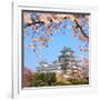 Spring Cherry Blossoms and the Main Tower of the UNESCO World Heritage Site: Himeji Castle, also Ca-S R Lee Photo Traveller-Framed Photographic Print