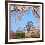 Spring Cherry Blossoms and the Main Tower of the UNESCO World Heritage Site: Himeji Castle, also Ca-S R Lee Photo Traveller-Framed Photographic Print