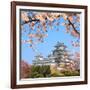 Spring Cherry Blossoms and the Main Tower of the UNESCO World Heritage Site: Himeji Castle, also Ca-S R Lee Photo Traveller-Framed Photographic Print