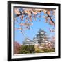 Spring Cherry Blossoms and the Main Tower of the UNESCO World Heritage Site: Himeji Castle, also Ca-S R Lee Photo Traveller-Framed Photographic Print