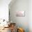 Spring Cherry Blossoms in Soft Spring Light-landio-Stretched Canvas displayed on a wall