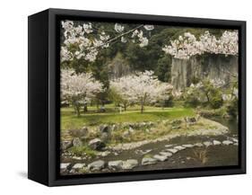 Spring Cherry Blossoms Near River with Stepping Stones, Kagoshima Prefecture, Kyushu, Japan-Christian Kober-Framed Stretched Canvas