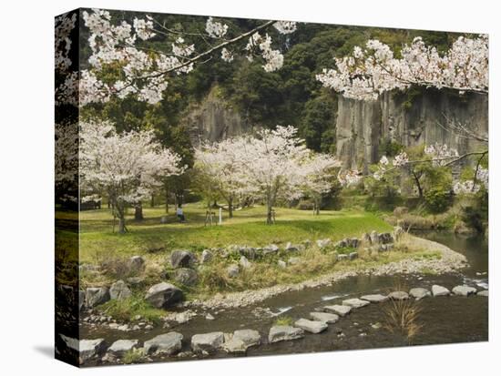 Spring Cherry Blossoms Near River with Stepping Stones, Kagoshima Prefecture, Kyushu, Japan-Christian Kober-Stretched Canvas