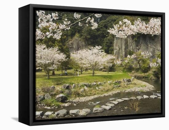 Spring Cherry Blossoms Near River with Stepping Stones, Kagoshima Prefecture, Kyushu, Japan-Christian Kober-Framed Stretched Canvas