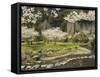 Spring Cherry Blossoms Near River with Stepping Stones, Kagoshima Prefecture, Kyushu, Japan-Christian Kober-Framed Stretched Canvas
