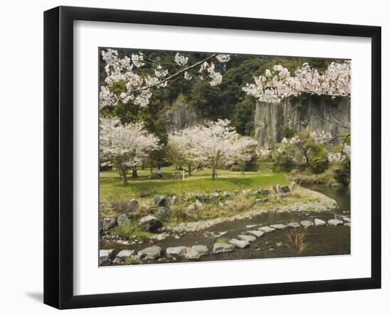 Spring Cherry Blossoms Near River with Stepping Stones, Kagoshima Prefecture, Kyushu, Japan-Christian Kober-Framed Premium Photographic Print