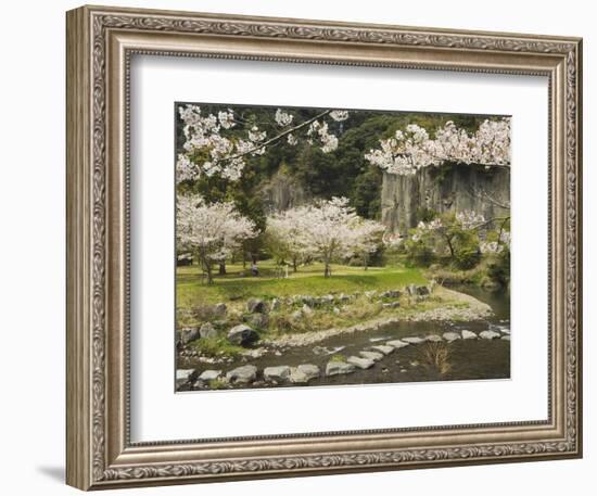 Spring Cherry Blossoms Near River with Stepping Stones, Kagoshima Prefecture, Kyushu, Japan-Christian Kober-Framed Photographic Print