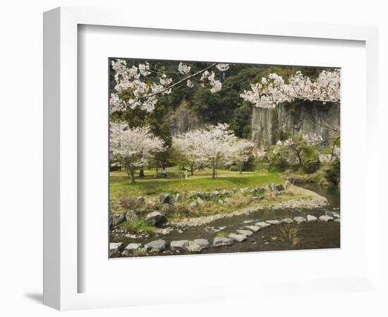 Spring Cherry Blossoms Near River with Stepping Stones, Kagoshima Prefecture, Kyushu, Japan-Christian Kober-Framed Photographic Print