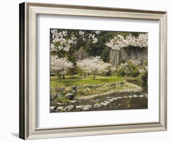 Spring Cherry Blossoms Near River with Stepping Stones, Kagoshima Prefecture, Kyushu, Japan-Christian Kober-Framed Photographic Print