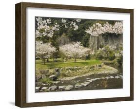 Spring Cherry Blossoms Near River with Stepping Stones, Kagoshima Prefecture, Kyushu, Japan-Christian Kober-Framed Photographic Print