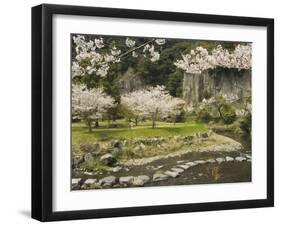 Spring Cherry Blossoms Near River with Stepping Stones, Kagoshima Prefecture, Kyushu, Japan-Christian Kober-Framed Photographic Print