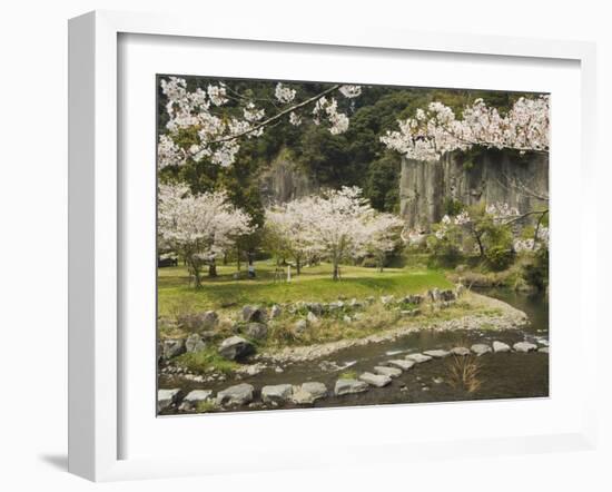 Spring Cherry Blossoms Near River with Stepping Stones, Kagoshima Prefecture, Kyushu, Japan-Christian Kober-Framed Photographic Print