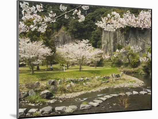 Spring Cherry Blossoms Near River with Stepping Stones, Kagoshima Prefecture, Kyushu, Japan-Christian Kober-Mounted Photographic Print