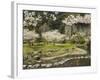 Spring Cherry Blossoms Near River with Stepping Stones, Kagoshima Prefecture, Kyushu, Japan-Christian Kober-Framed Photographic Print