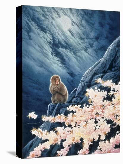 Spring - Cherry Blossoms-Joh Naito-Stretched Canvas