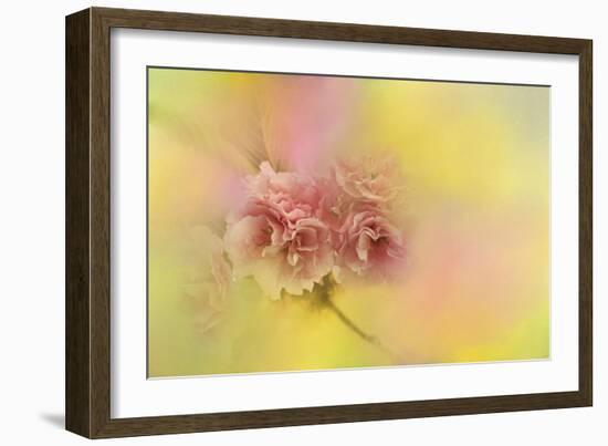 Spring Cherry Blossoms-Jai Johnson-Framed Giclee Print