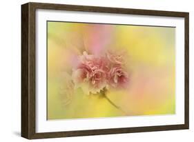 Spring Cherry Blossoms-Jai Johnson-Framed Giclee Print