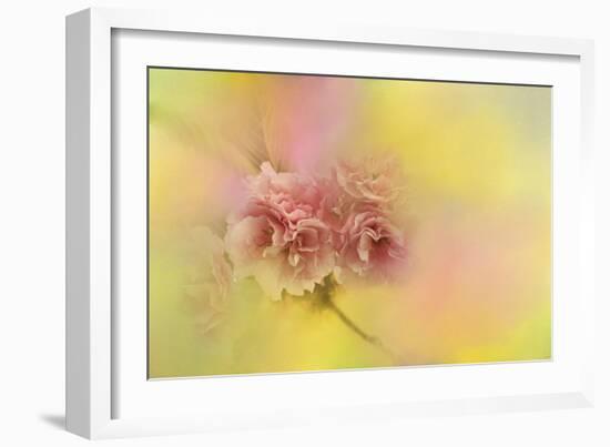 Spring Cherry Blossoms-Jai Johnson-Framed Giclee Print