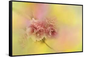 Spring Cherry Blossoms-Jai Johnson-Framed Stretched Canvas