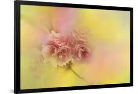 Spring Cherry Blossoms-Jai Johnson-Framed Giclee Print