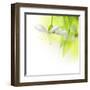 Spring Cherry Flowers-Subbotina Anna-Framed Art Print