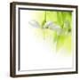 Spring Cherry Flowers-Subbotina Anna-Framed Premium Giclee Print