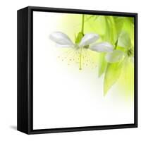 Spring Cherry Flowers-Subbotina Anna-Framed Stretched Canvas
