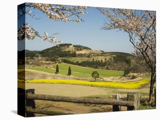 Spring Cherry Trees and Mountain Scenery, Takachiho Farm, Kirishima National Park, Kyushu, Japan-Christian Kober-Stretched Canvas