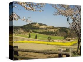 Spring Cherry Trees and Mountain Scenery, Takachiho Farm, Kirishima National Park, Kyushu, Japan-Christian Kober-Stretched Canvas