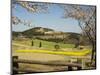 Spring Cherry Trees and Mountain Scenery, Takachiho Farm, Kirishima National Park, Kyushu, Japan-Christian Kober-Mounted Photographic Print