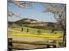 Spring Cherry Trees and Mountain Scenery, Takachiho Farm, Kirishima National Park, Kyushu, Japan-Christian Kober-Mounted Photographic Print