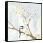 Spring Chickadees II-Jade Reynolds-Framed Stretched Canvas