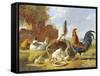 Spring Chickens-Albertus Verhosen-Framed Stretched Canvas