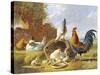 Spring Chickens-Albertus Verhosen-Stretched Canvas