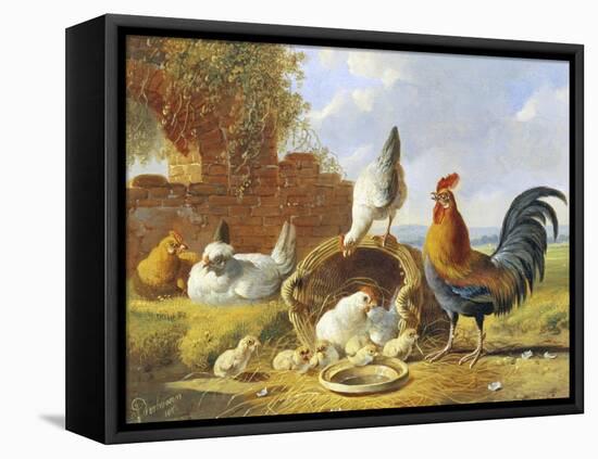 Spring Chickens-Albertus Verhosen-Framed Stretched Canvas