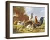 Spring Chickens-Albertus Verhosen-Framed Giclee Print