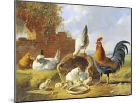 Spring Chickens-Albertus Verhosen-Mounted Giclee Print