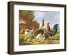 Spring Chickens-Albertus Verhosen-Framed Giclee Print