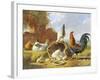 Spring Chickens-Albertus Verhosen-Framed Giclee Print