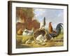 Spring Chickens-Albertus Verhosen-Framed Giclee Print