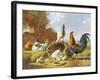 Spring Chickens-Albertus Verhosen-Framed Giclee Print