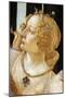 Spring, Circa 1482-Sandro Botticelli-Mounted Giclee Print