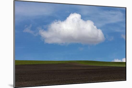 Spring Cloud-Trent Foltz-Mounted Art Print