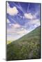 Spring Clouds and Wildflower Plains - Carrizo Southern California-Vincent James-Mounted Photographic Print