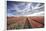 Spring Clouds over Fields of Multi-Coloured Tulips, Netherlands-Roberto Moiola-Framed Photographic Print